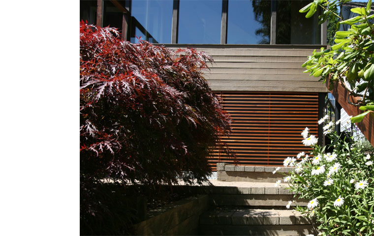 contemporary renovation, cedar trellis